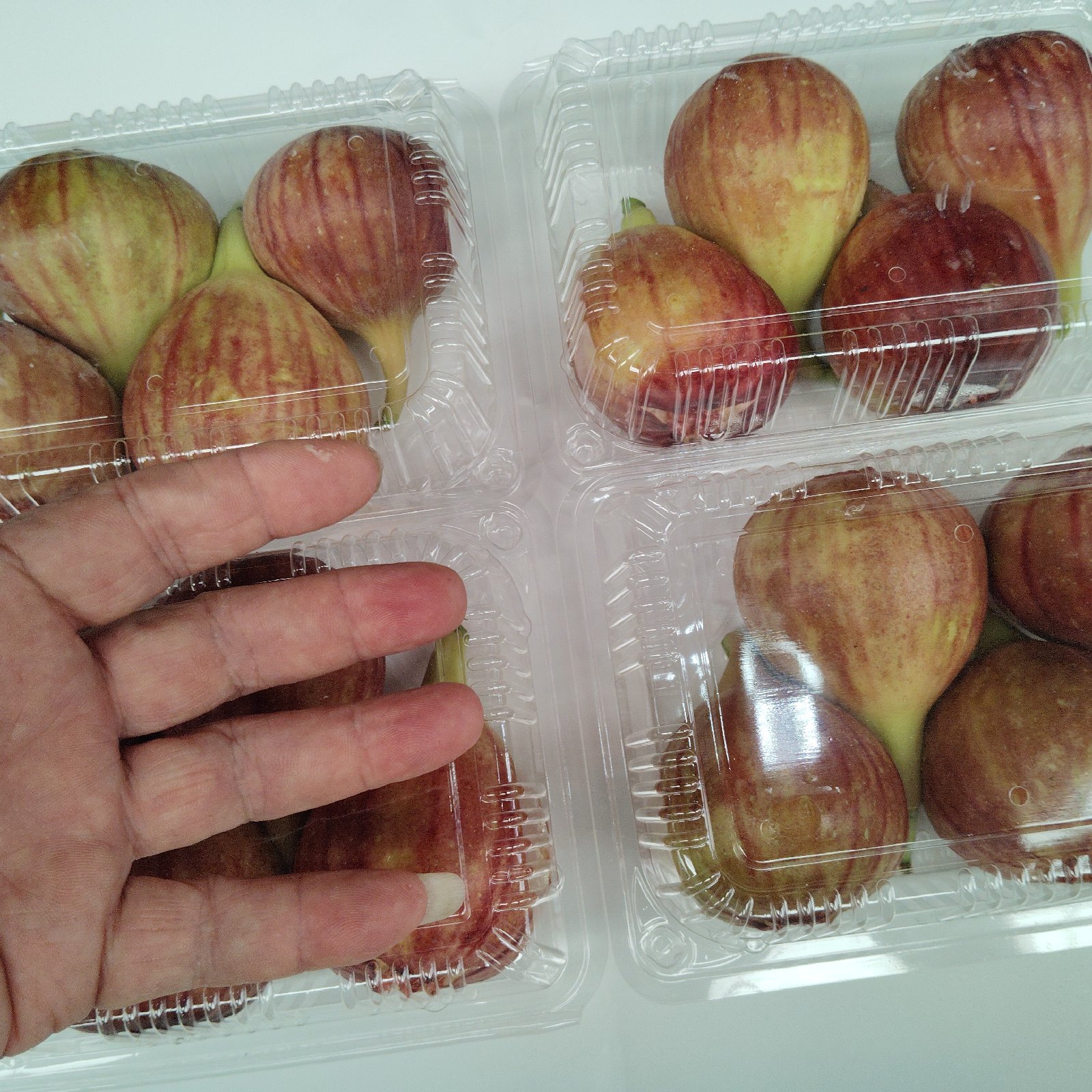 宮崎いちじく ｜ 果物/いちじく 産直アウル 農家・漁師など生産者から