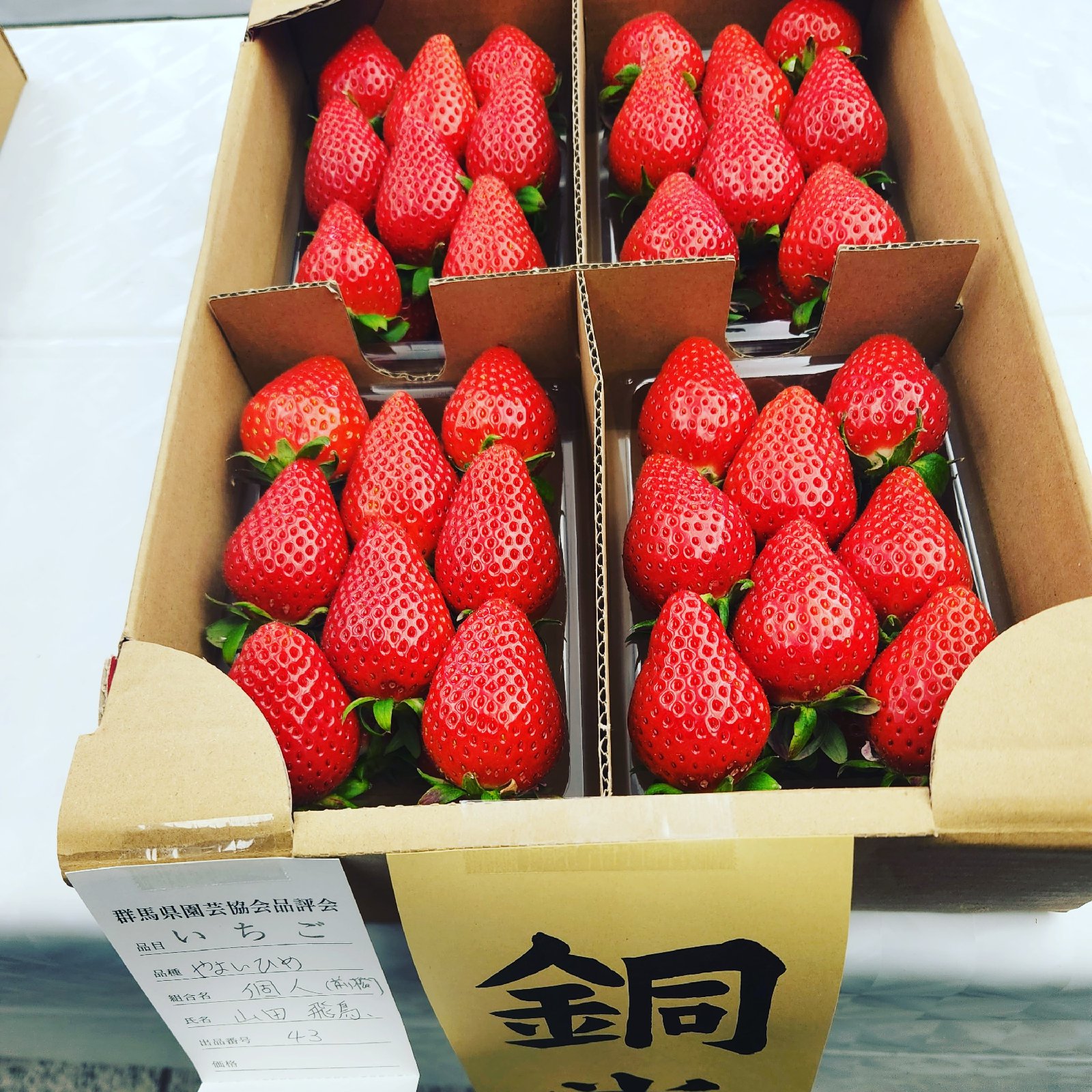 d4635336d34246f4489db5a72a5d06