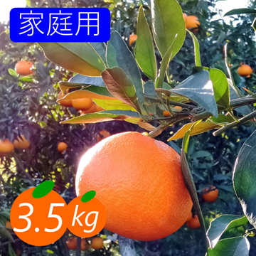 そらっこ　まどんな8kg+南柑20号3kgぐるりん そらまどんな【天空のまどんな】愛媛産みかん 3kg：愛媛県産のみかん