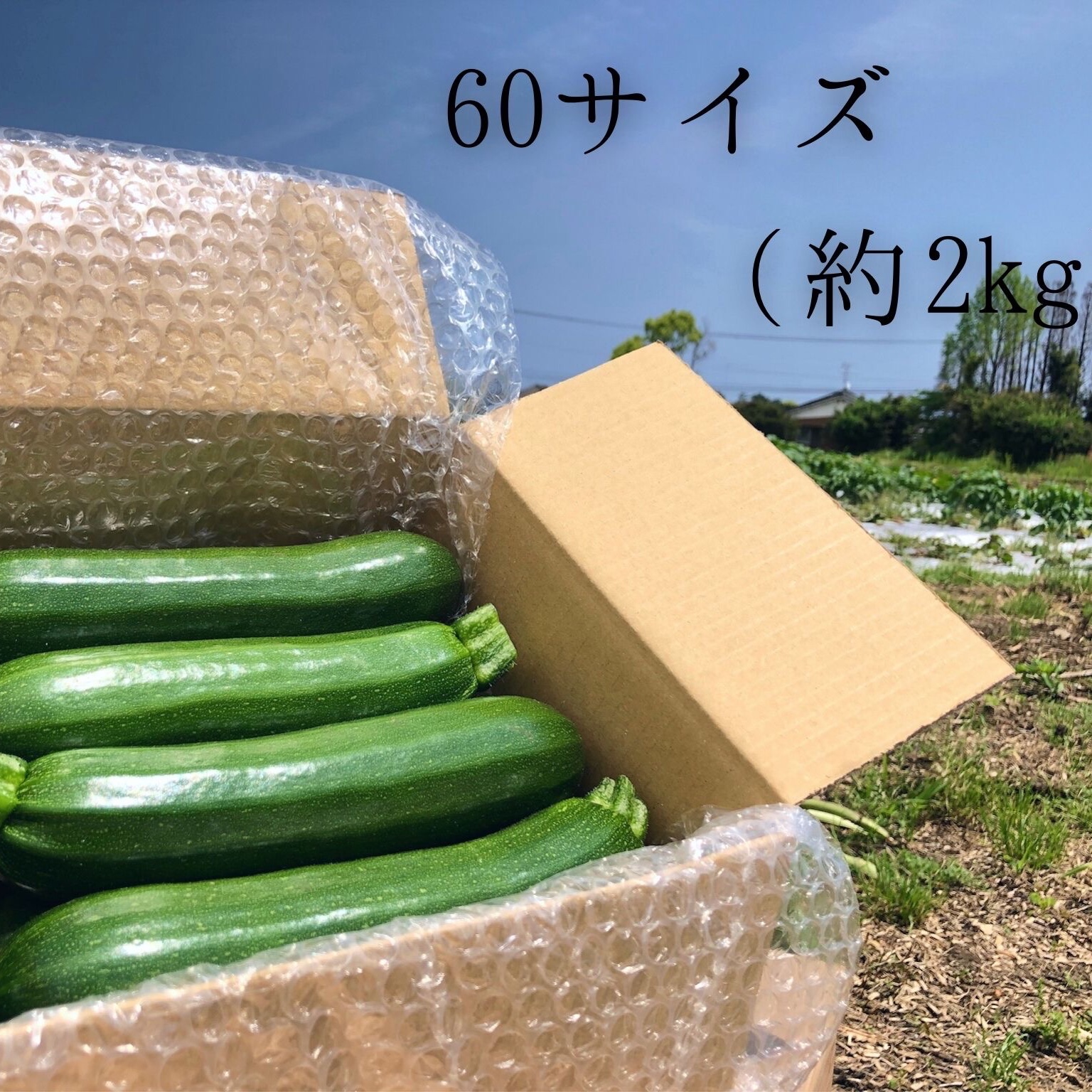 d4a21246cfbf5abdf6aacf461dabf8