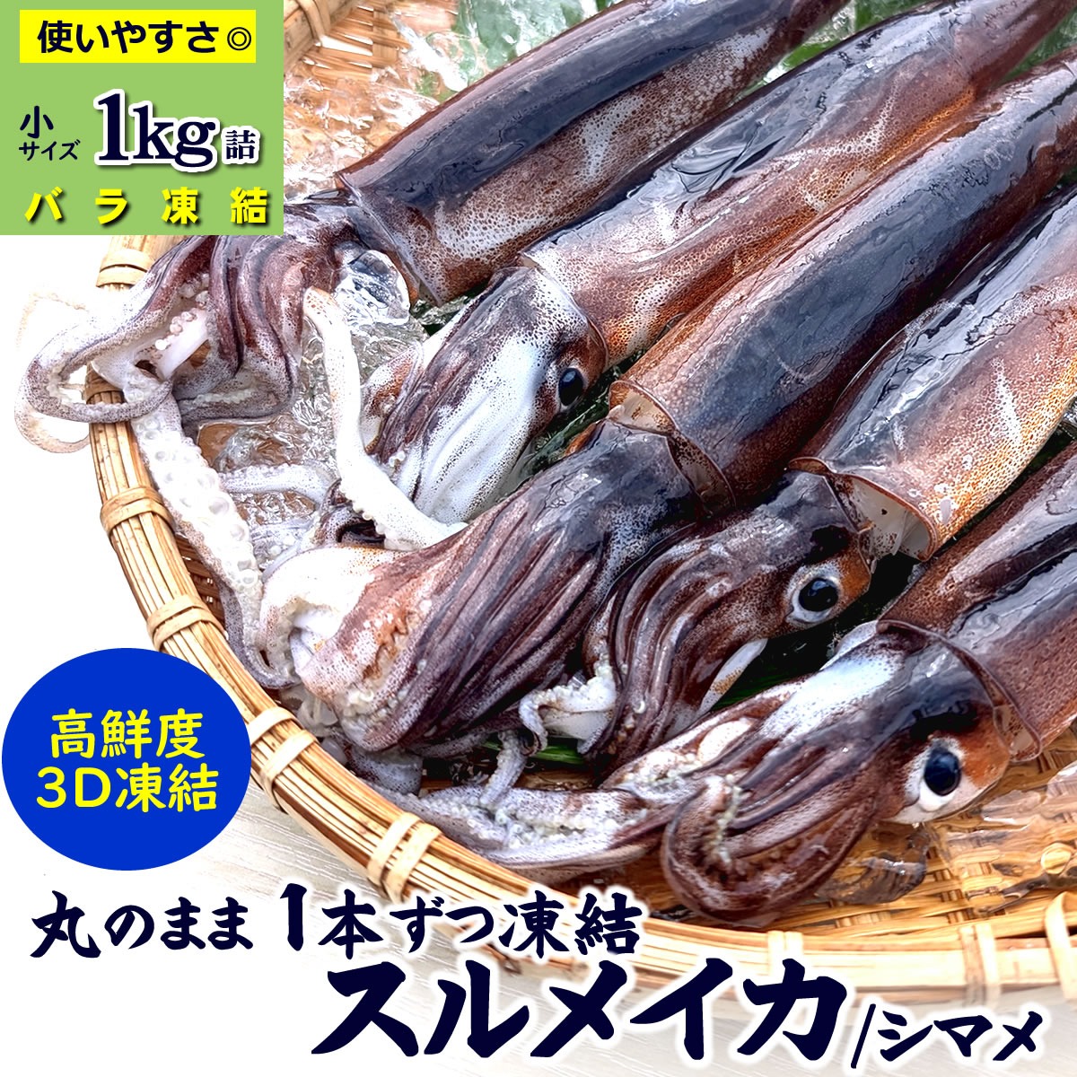 スルメイカ（冷凍）小 約1kg（8-11杯前後入）サイズが小さく、不揃い