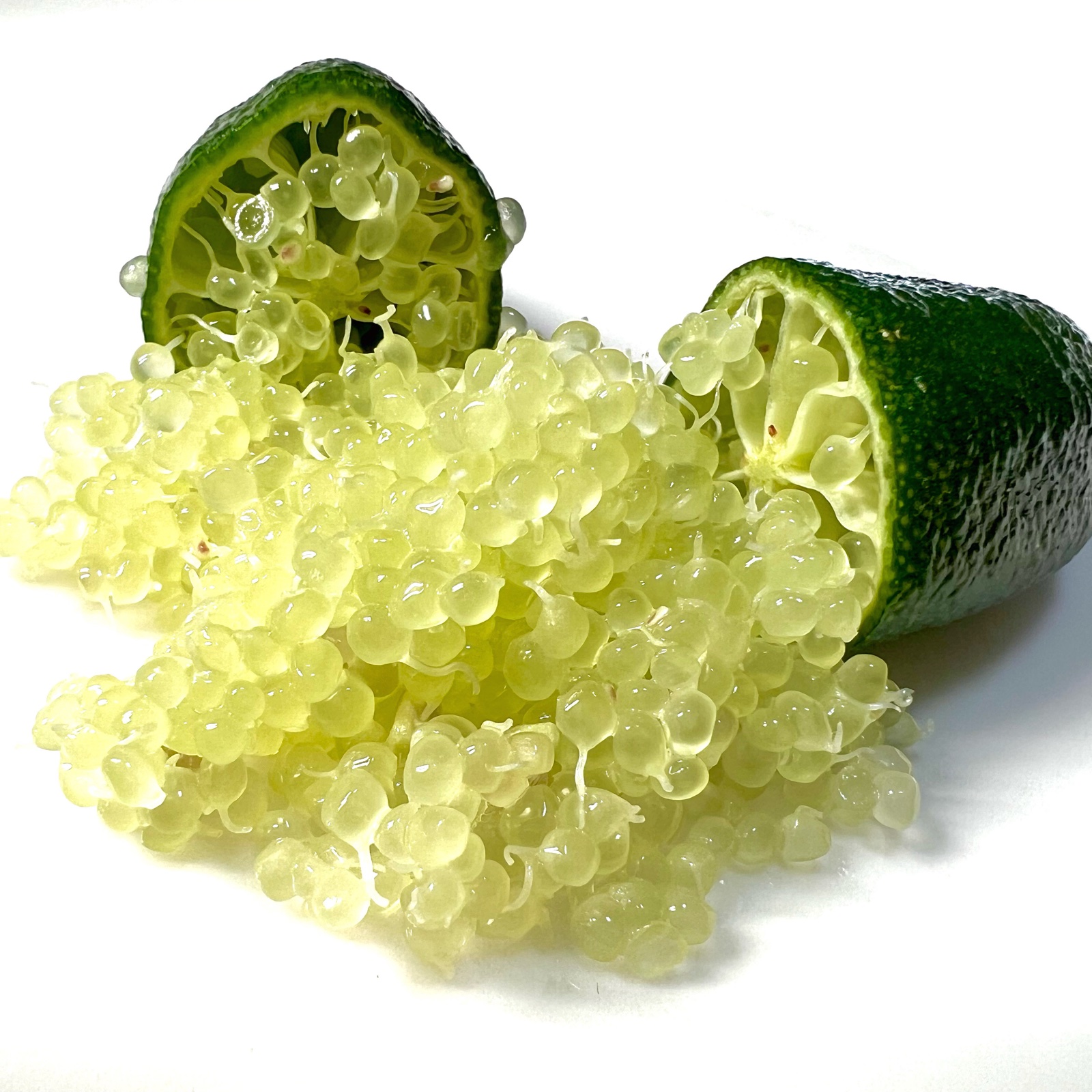 d4ddd734a151f7823a260efbffddc3