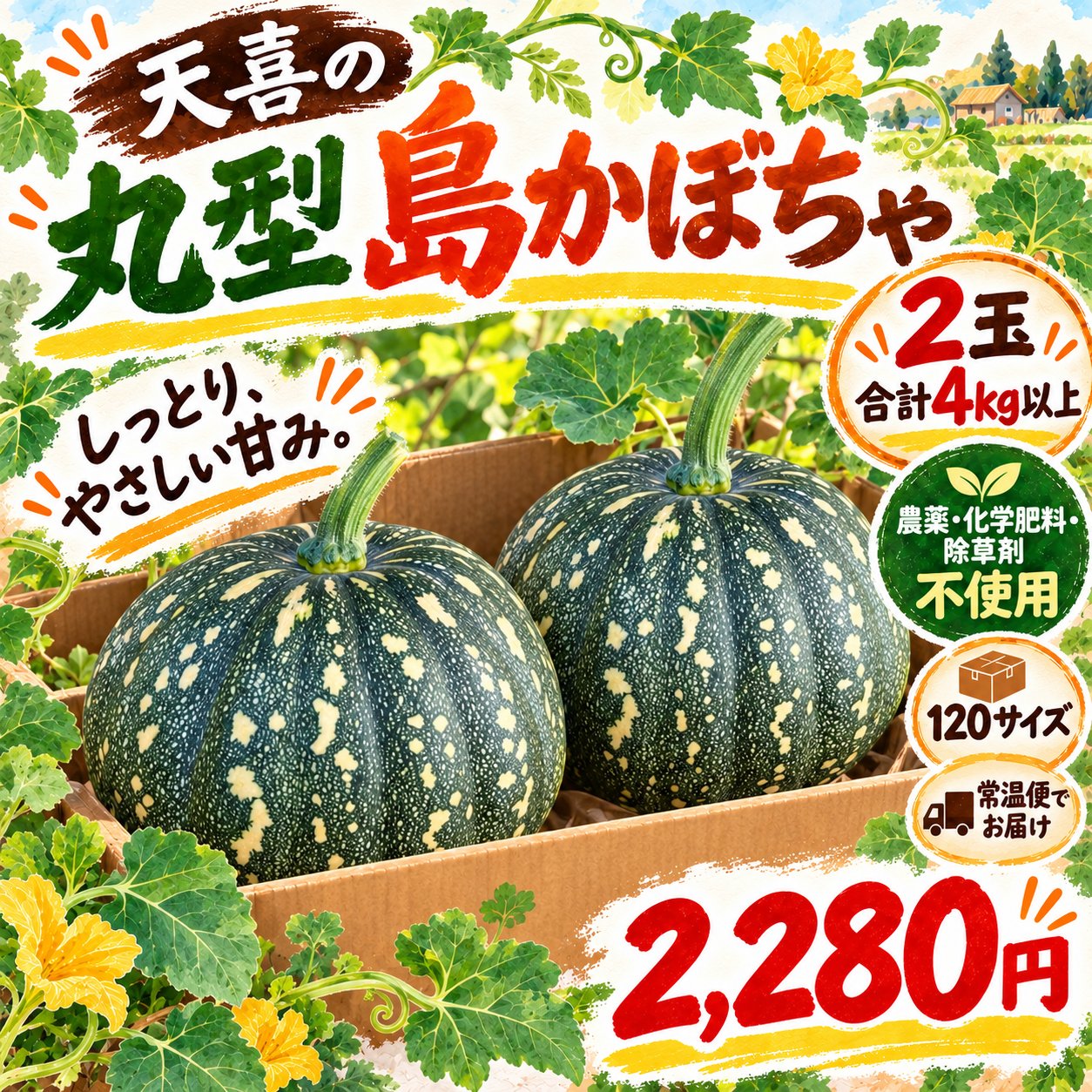 島かぼちゃ 丸型 2玉合計4kg以上｜農薬・化学肥料・除草剤不使用