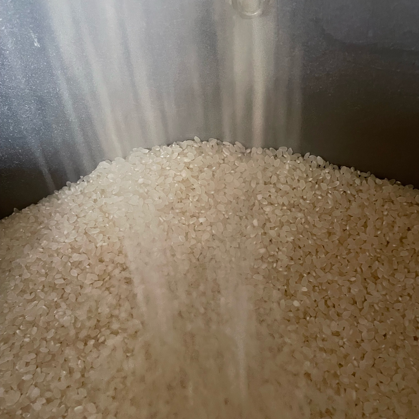 新米・夢しずく10kg・佐賀県産 ｜ 米・穀物/米/精米 産直アウル 農家