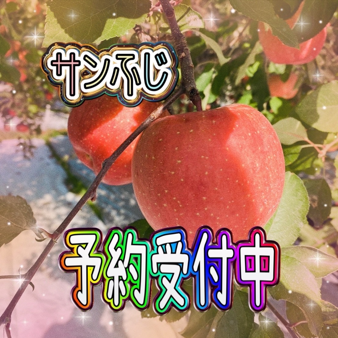 送料込み　値下げ　福島県産　60kg 福島県福島市の産地直送食材と生産者一覧（2ページ目）｜産直アウル