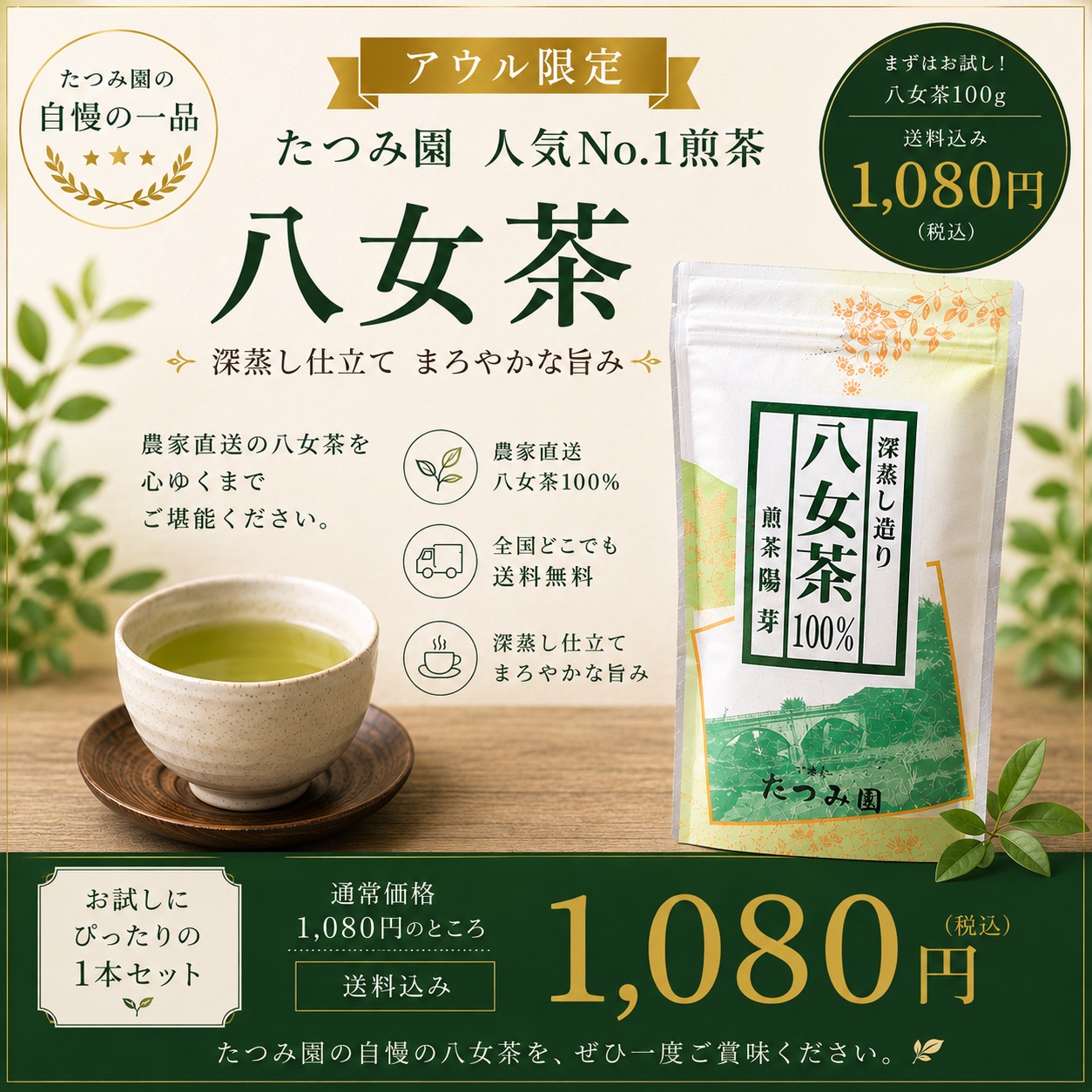 2026年新茶】気軽に楽しむ八女の新茶100g｜たつみ園 ｜ お茶/緑茶 産直