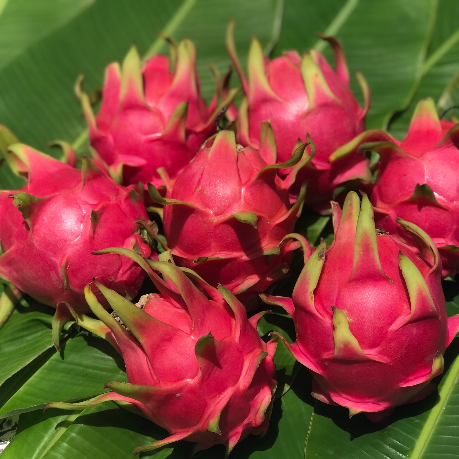 d592f6b30faecffbb5f87ae9db1d2f