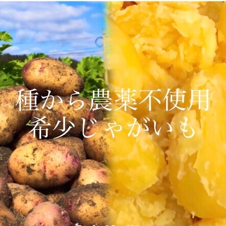 幻の　じゃがいも　ジャガイモ　07 2Kg”農家の中でも『幻』のじゃがいも！世界一おいしい黄金じゃがいも