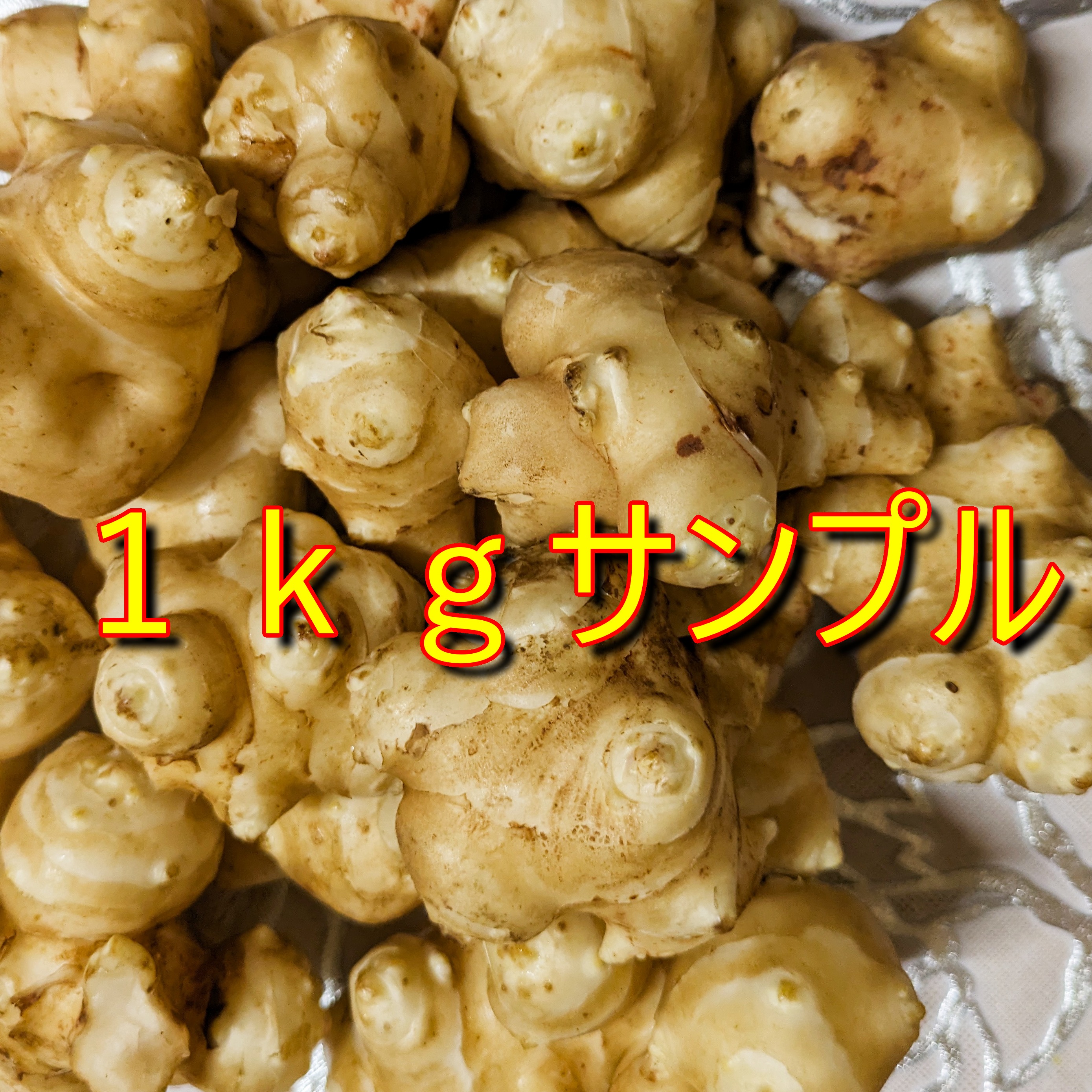 菊芋20kg+α　化学肥料使用なし　農薬使用なし 菊芋(キクイモ）農薬・化学肥料不使用 1.5kg ☆数量限定：群馬県産の白