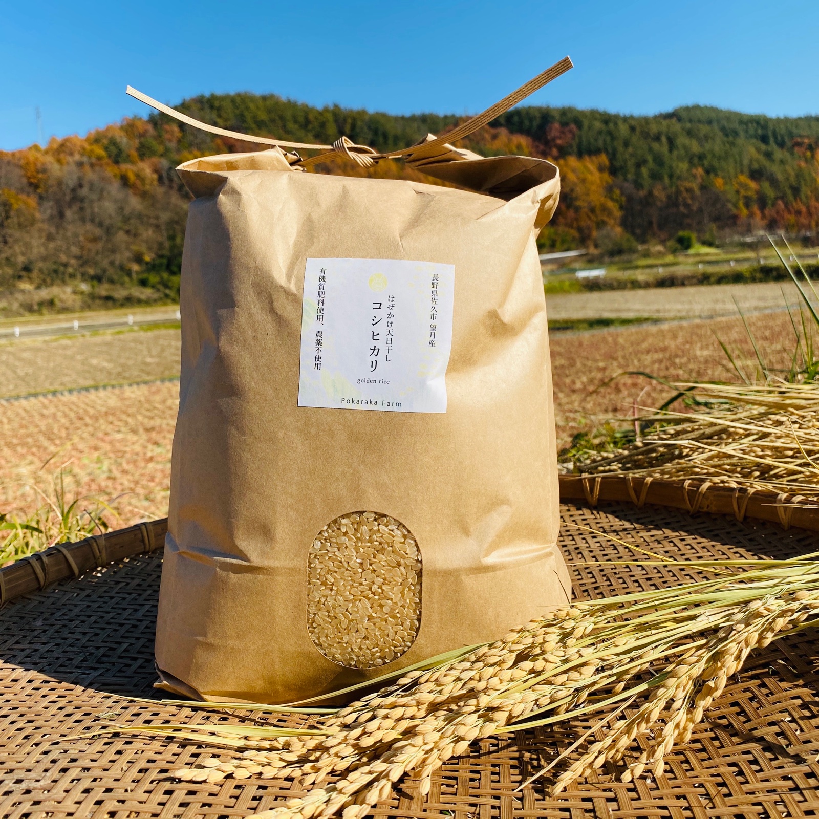 ハゼ掛け米 10kg 精米