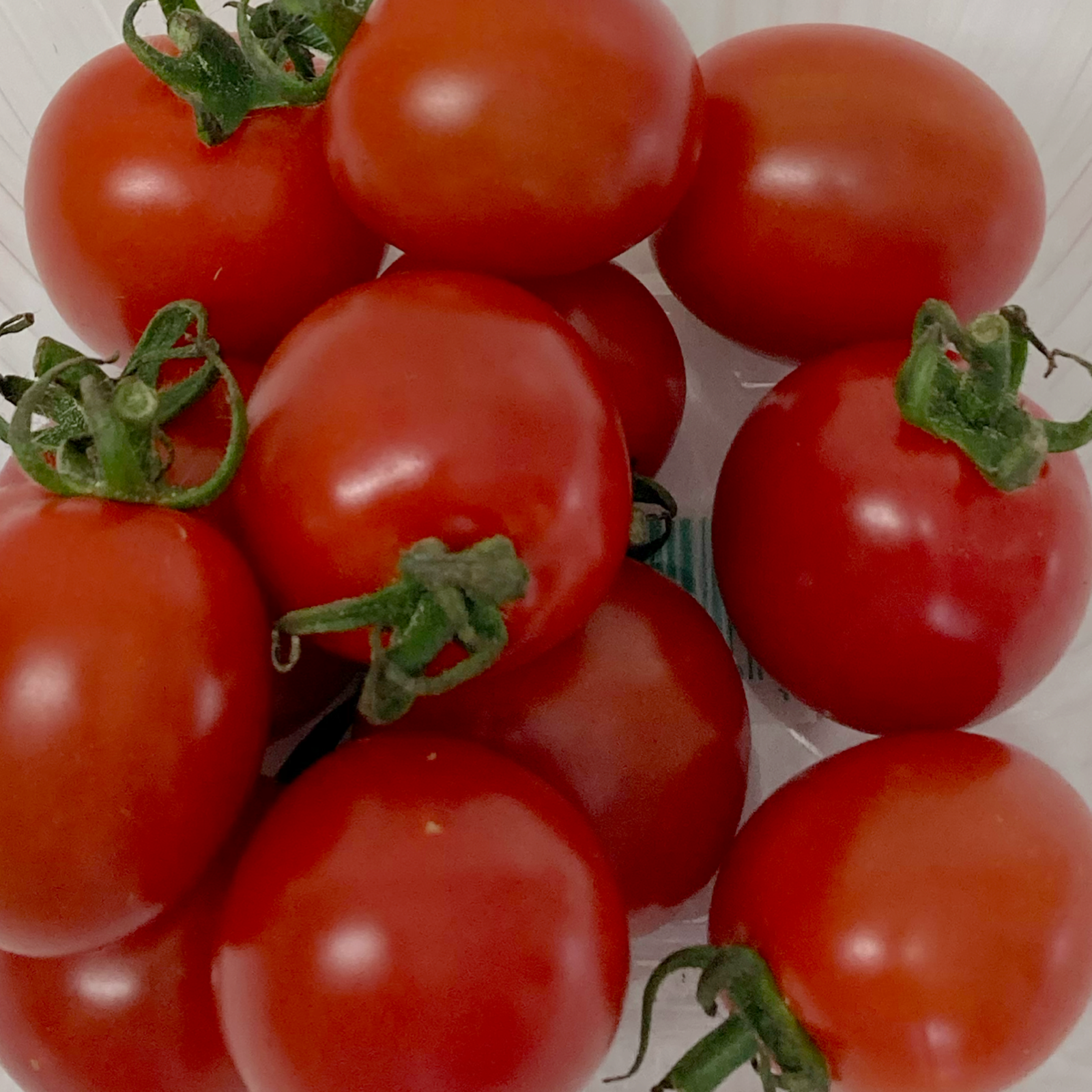 九州 熊本産 ミニトマト 約3kg 2S～2L 不揃い (002) 野菜 フルーツ