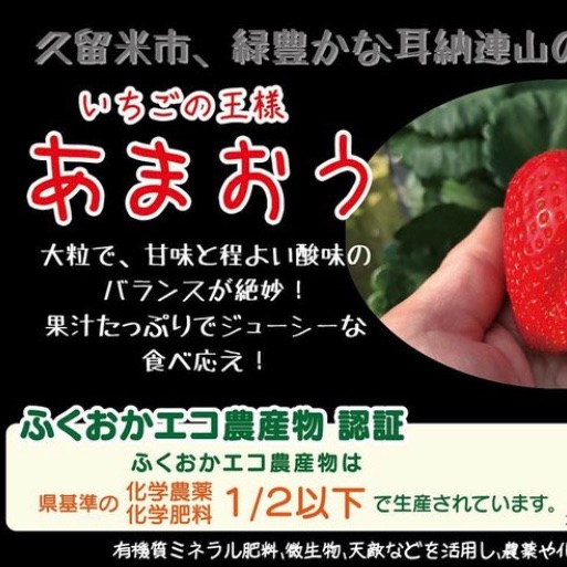 【送料込】福岡県エコ農産物認定 あまおう加工用2kg 福岡県エコ農産物認定あまおう加工用1kg｜訳あり完熟いちご｜ジャム