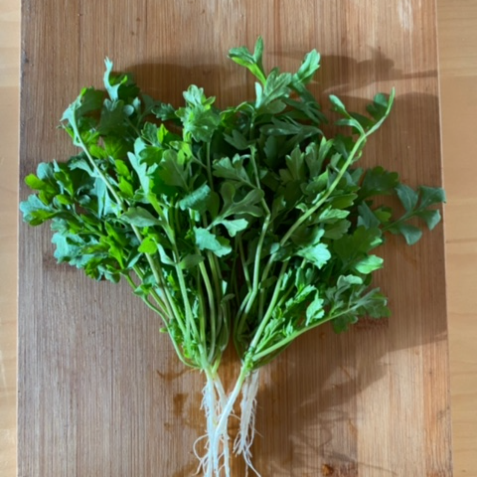 クレソン２様 ランドクレソン 300g ｜ 野菜/ハーブ 産直アウル 農家・漁師など生産