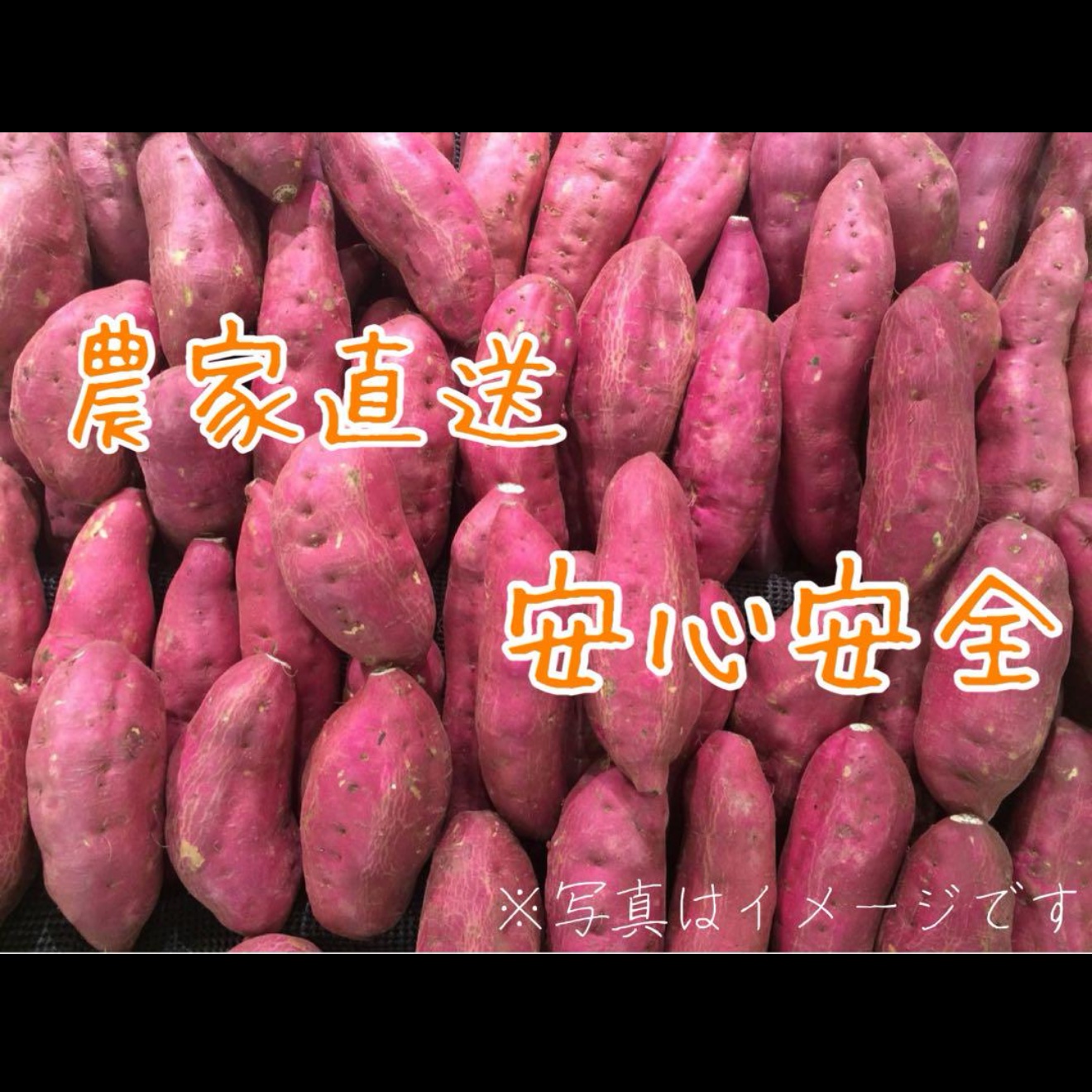 さつまいも 紅はるか 約2キロ 2S,3Sサイズのみ | 野菜/さつまいも 産直