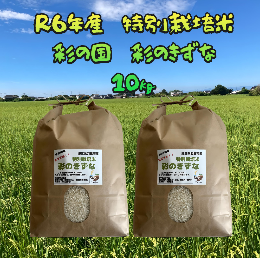 農家 蔵出し処分/10.26/精米R6年産/姫ごのみ/10kg 蔵出し処分/10.26/精米R6年産/姫ごのみ/10kg 農家