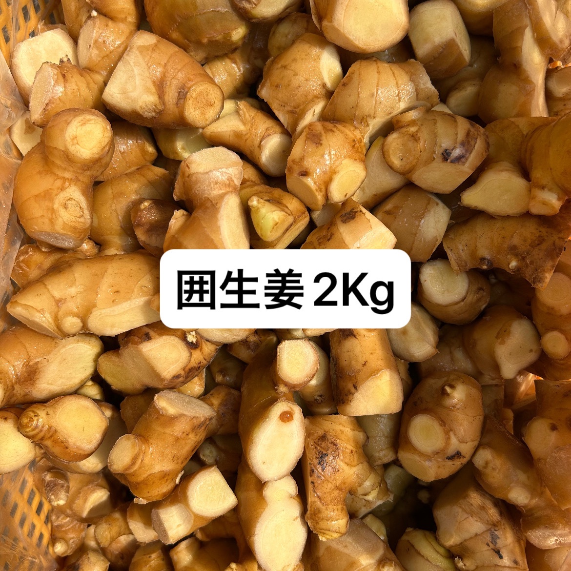 生姜16kg d699e1f9c8891ed9c600294d65490f