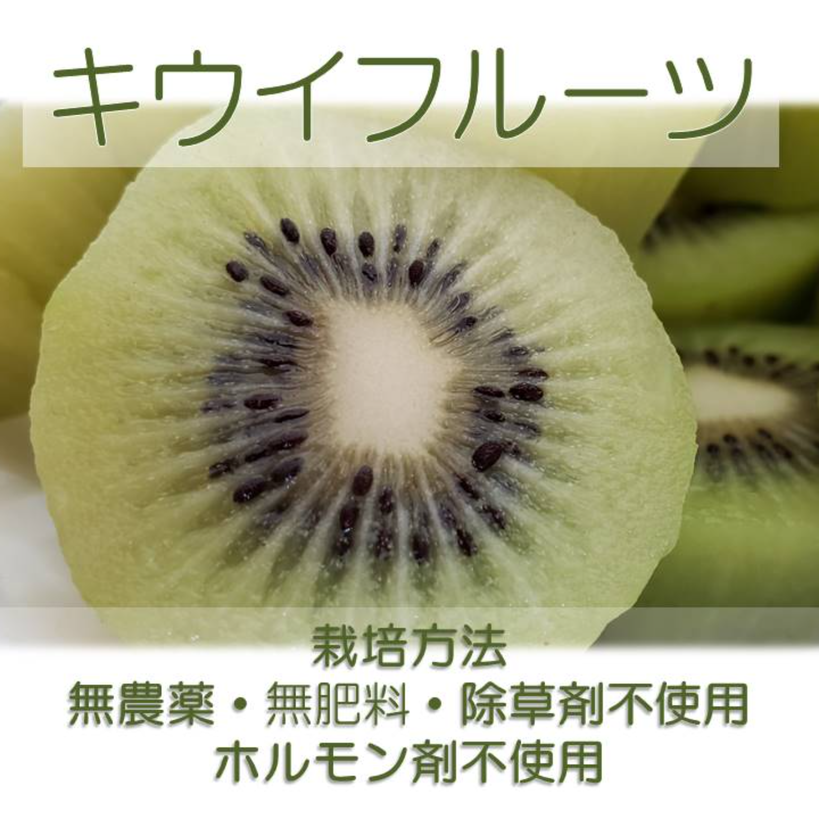 農薬不使用のキウイフルーツ 自然栽培2キロ 果物 キウイ 産直アウル Owl 農家から直接野菜などの食材を購入できる産地直送の宅配通販サイト