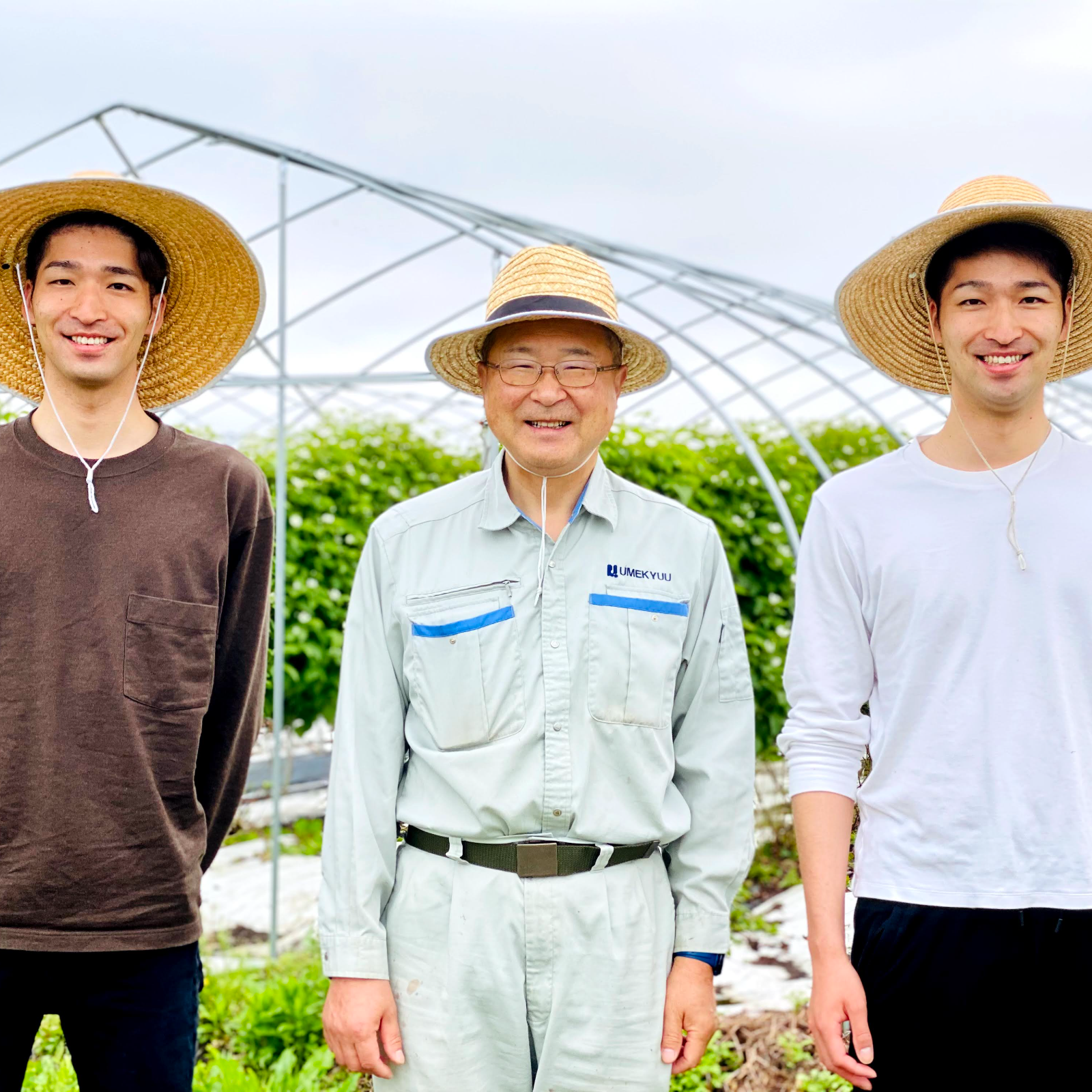 小町ファームページ