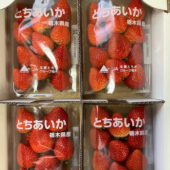 3種類のいちご、たっぷりセット とちあいか、やよいひめ、ミルキー