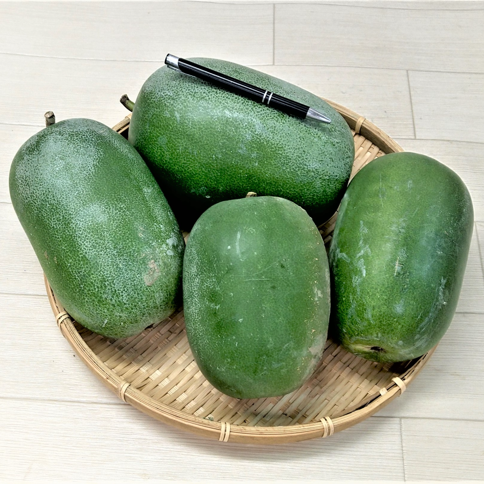 無農薬7キロ香瓜 2026年生産 農薬不使用（無農薬）栽培 冬瓜（ミニ冬瓜） ｜ 野菜