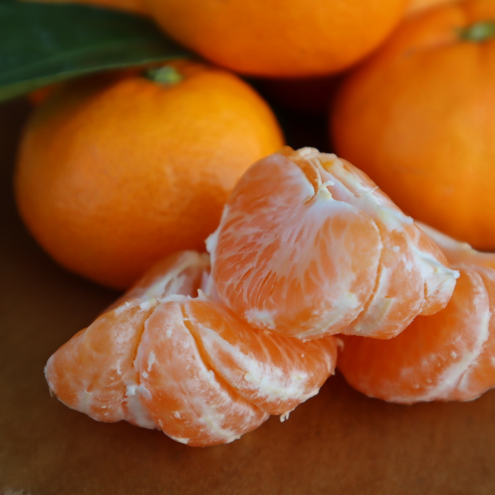 倍量増量中！！サイズ2L以上のあまーい大きな温州みかん20キロ | 果物