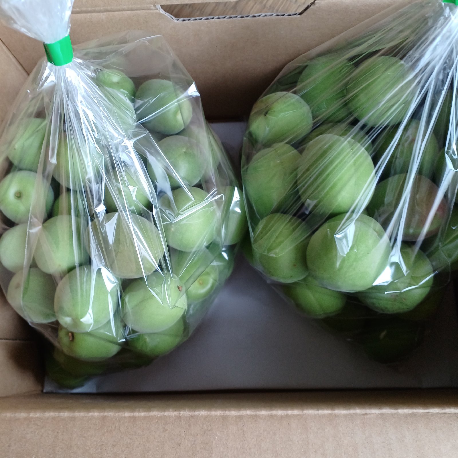 あいちゃん様　山梨県産　樹成り中熟~完熟　白加賀梅　20kg　青梅 終了 あいちゃん様 山梨県産 樹成り中熟~完熟 白加賀梅 20kg 青梅 終了