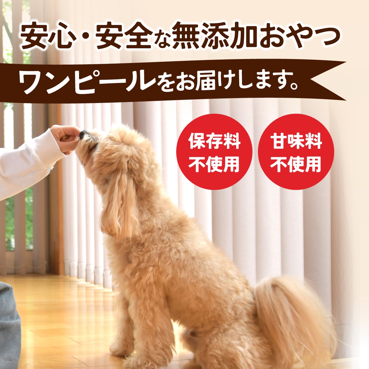 茨城県産ほしいもの未利用部分を使用した犬の無添加おやつ/ワンピール