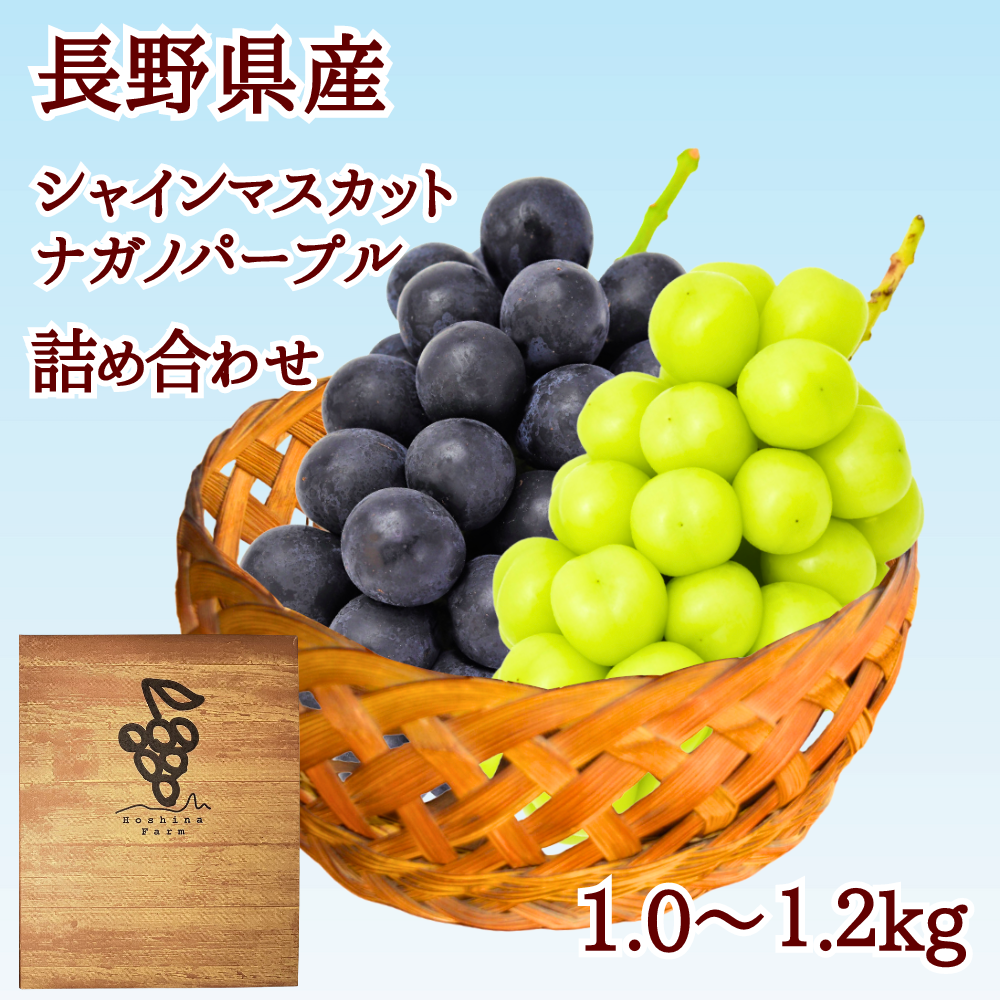 いちごナガノパープル1房、シャインマスカット3房 いちごナガノパープル1房、シャインマスカット3房