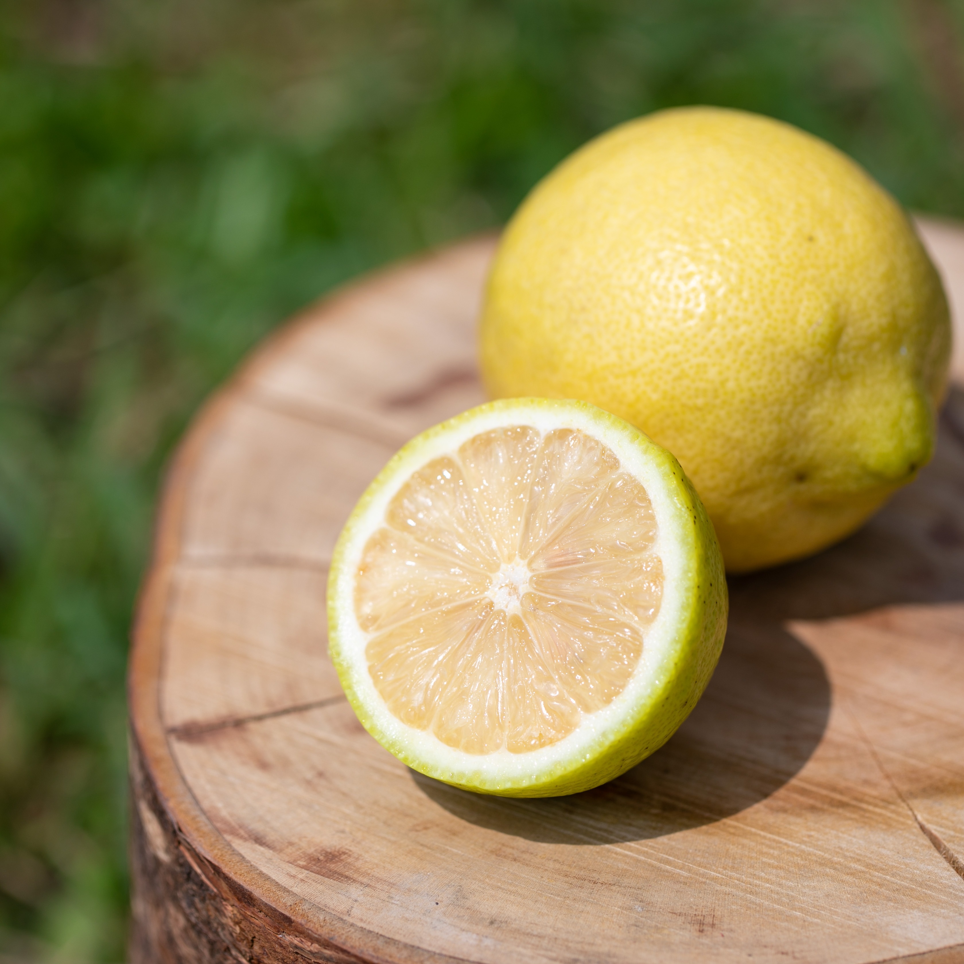 完全無農薬自然栽培レモン 完全無農薬自然栽培レモン