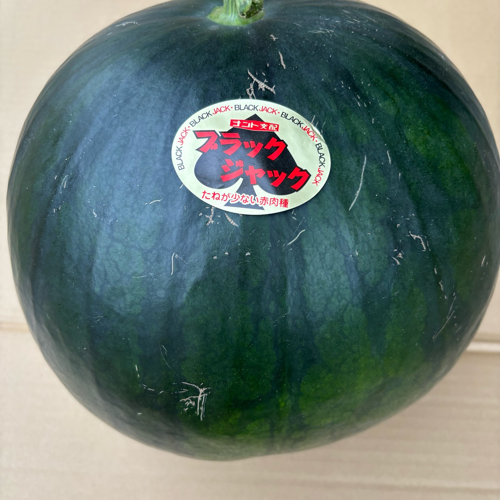 459千葉県産富里大玉スイカブラックジャックC品3Lサイズ1箱2玉入り