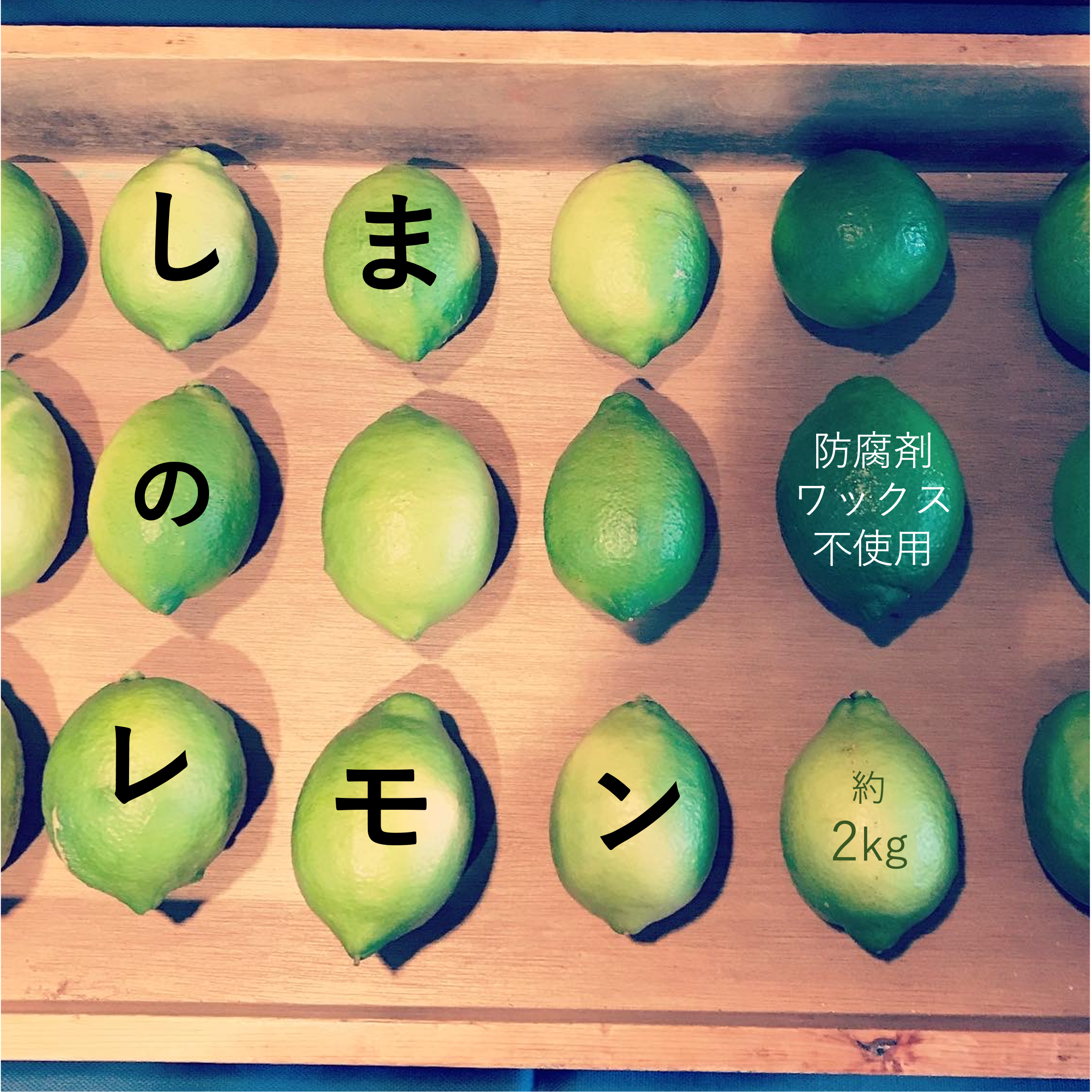 瀬戸内・因島】しまのレモン（家庭用）お試しサイズ | 果物/香酸柑橘