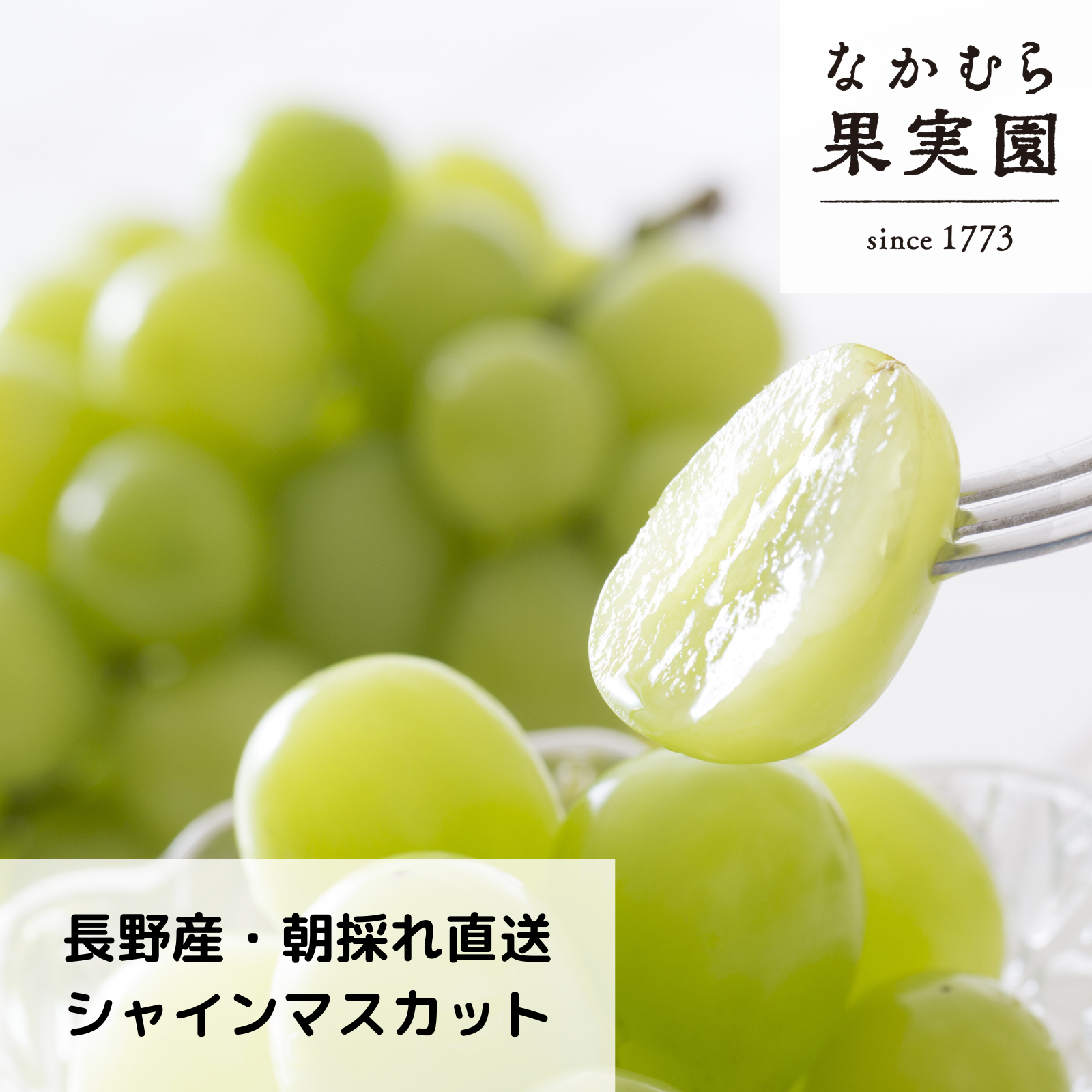夏ギフト】パリッじゅわ～！やみつき食感「シャインマスカット