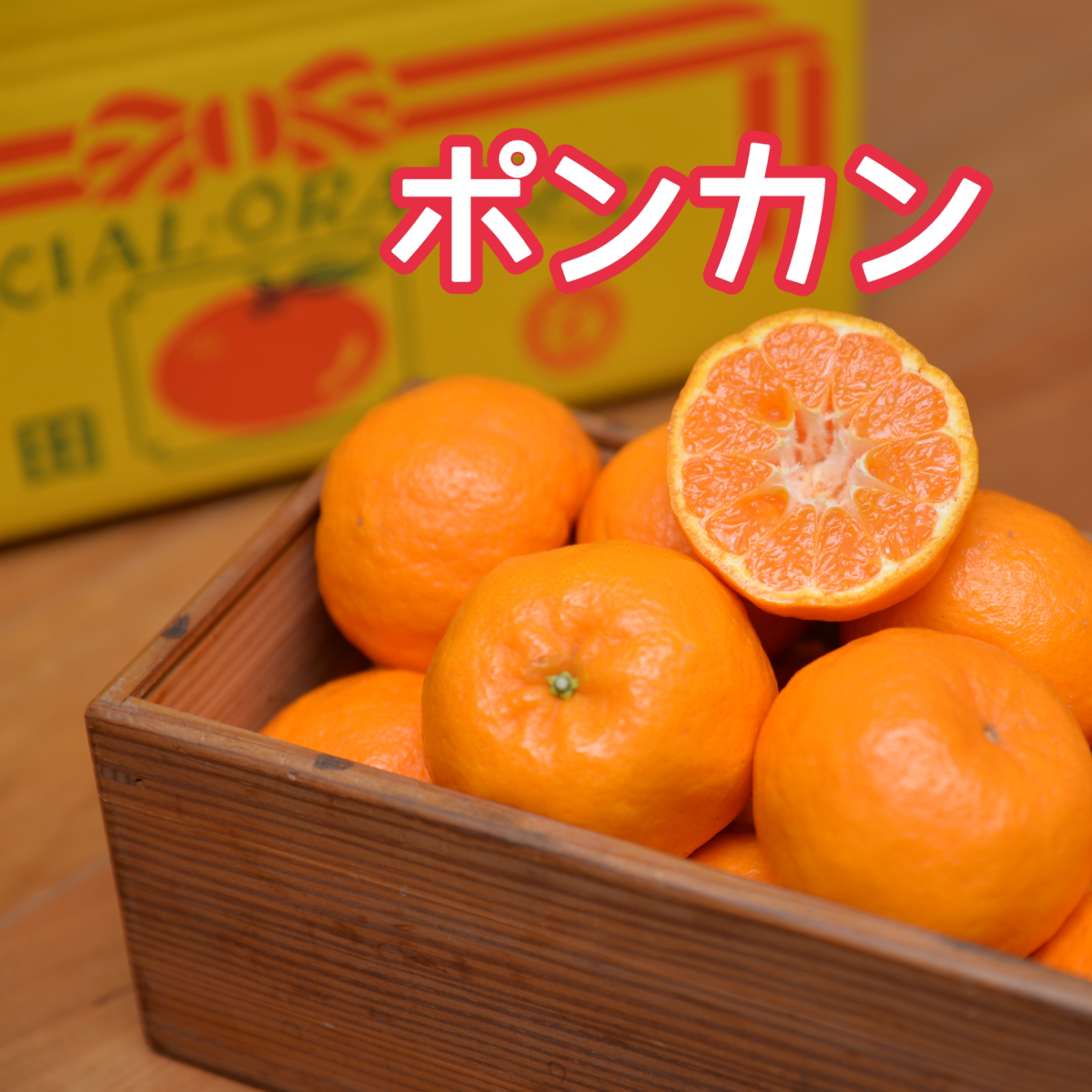☆むいた瞬間香りはじける！甘み濃厚☆ポンカン☆手でむいて薄皮ごと 