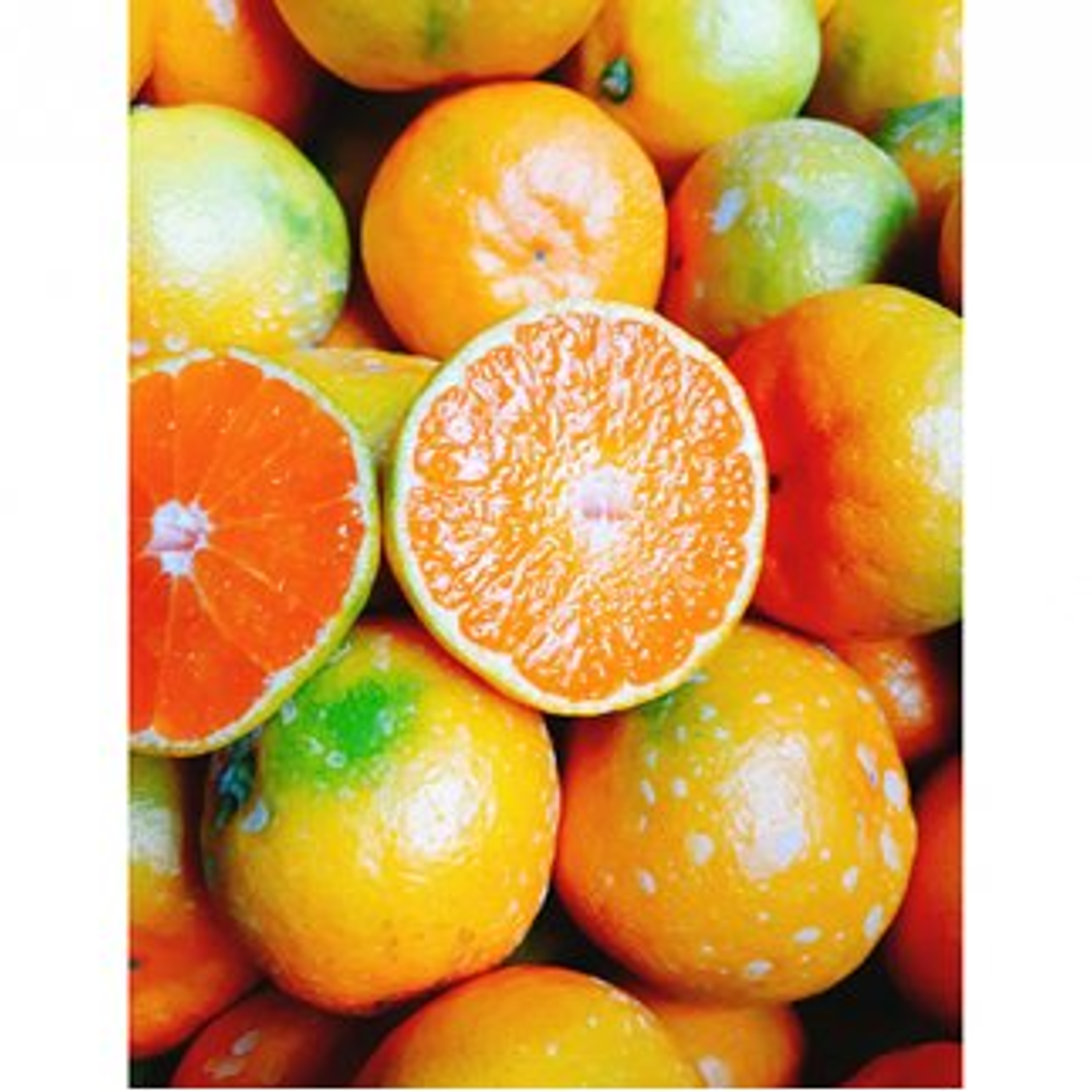 本当にお待たせしました、【ゆら】の季節です🍊 コロ丸！ゆら早生 約5