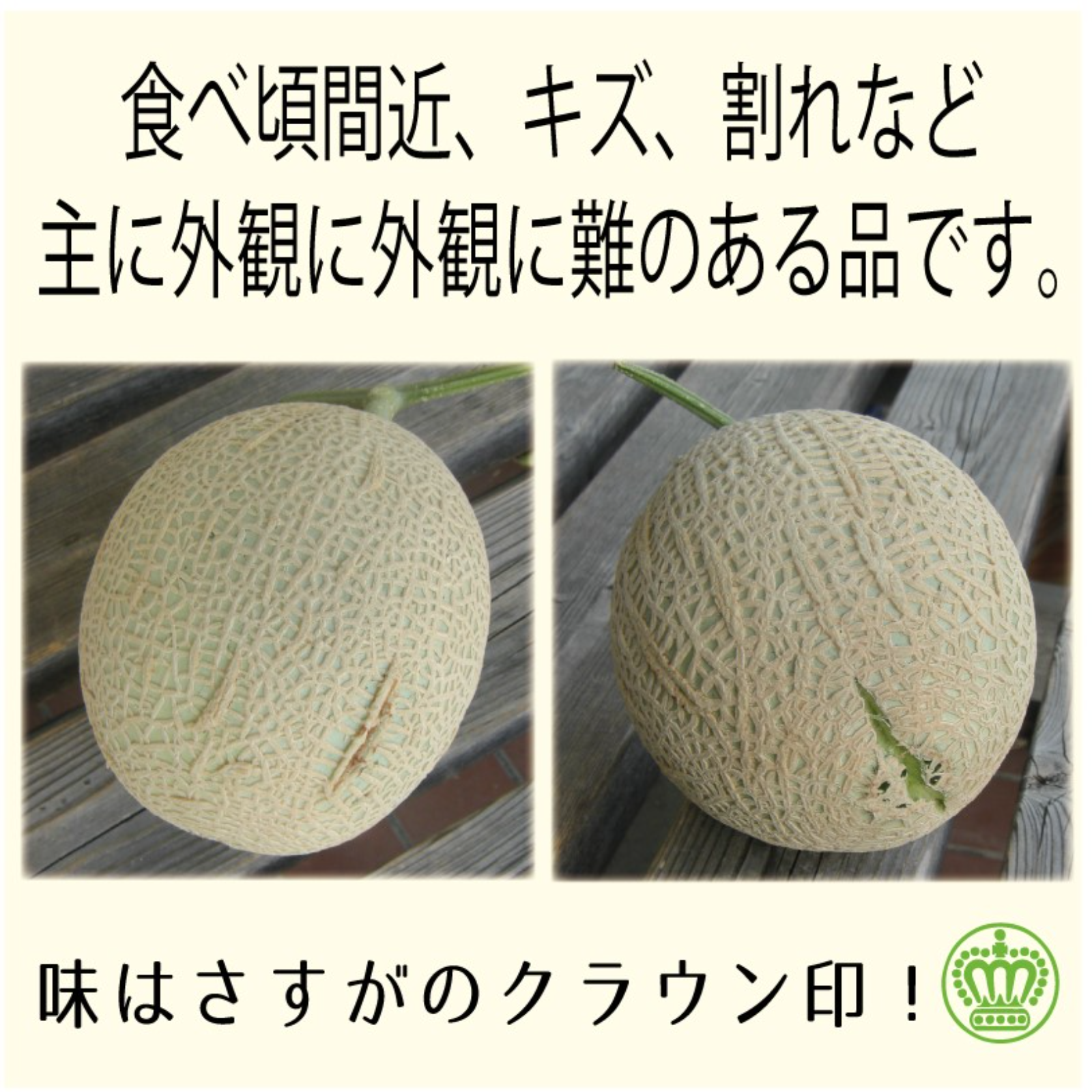 高知産メロン3個セット訳あり
