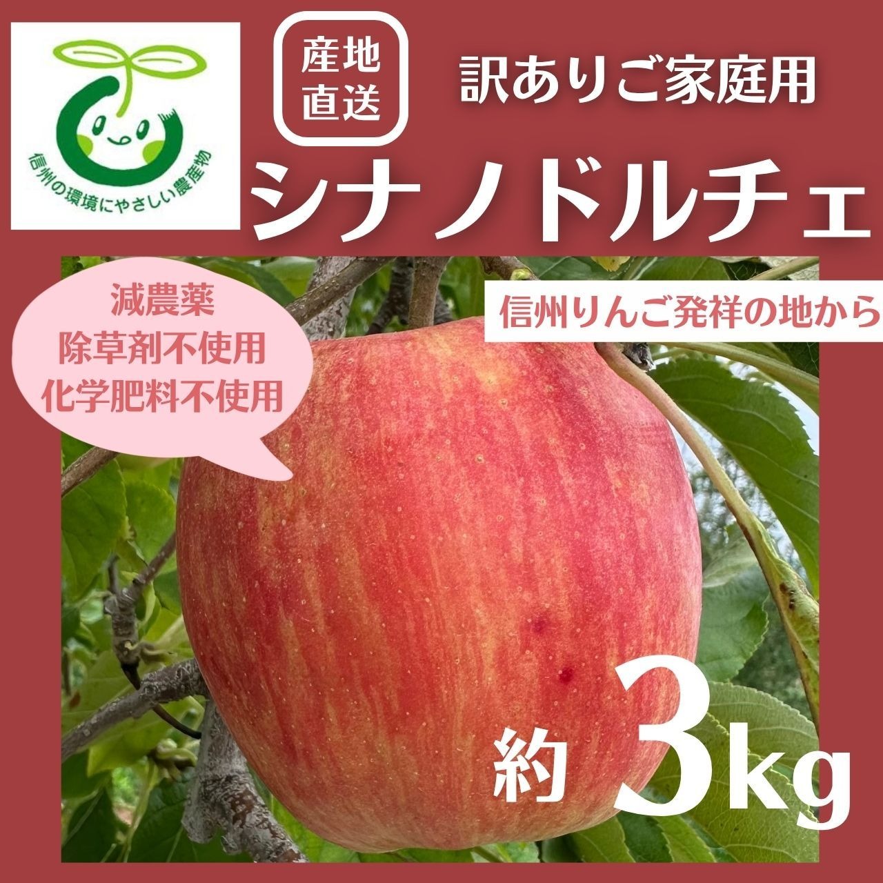 希少! 生産農家直送 りんご シナノドルチェ 訳ありご家庭用 3kg 長野県