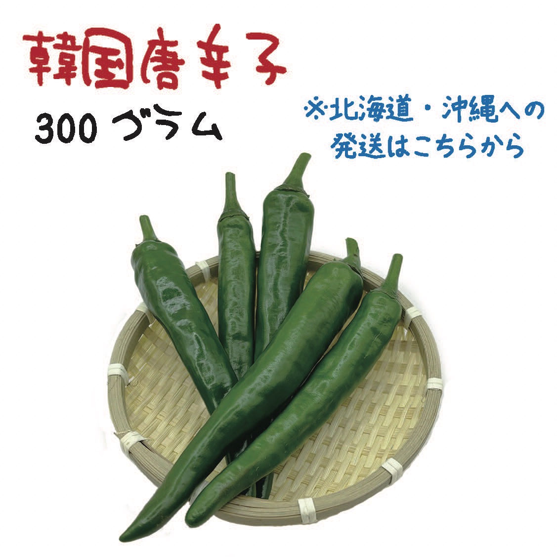 北海道・沖縄専用】韓国唐辛子 約300g 宮崎産 青唐辛子 フレッシュ