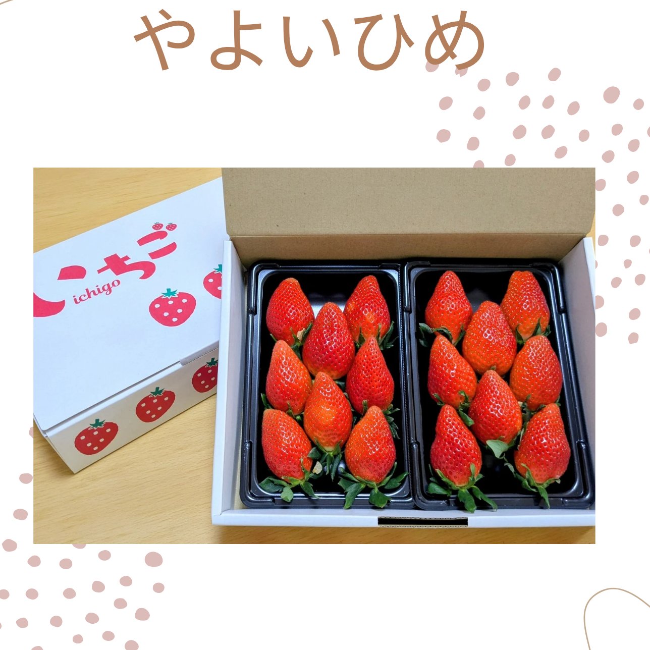 d937fd9c4b73975ec6317bb9b79aa7 