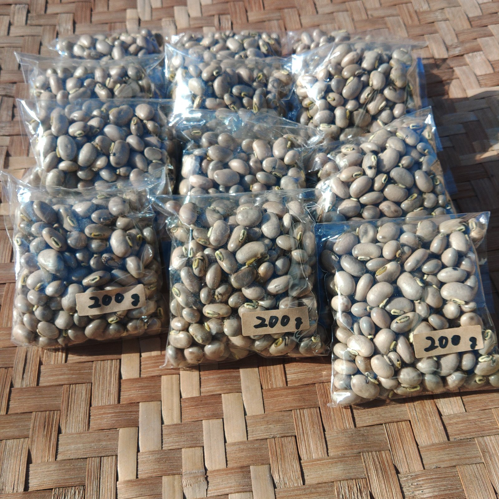 晴れの国岡山産ムクナ豆【八升豆】10kg‼️ 自然農 徳用！北原大自然農園の自然栽培ムクナ豆(八升豆)鹿児島産 ｜ 野菜