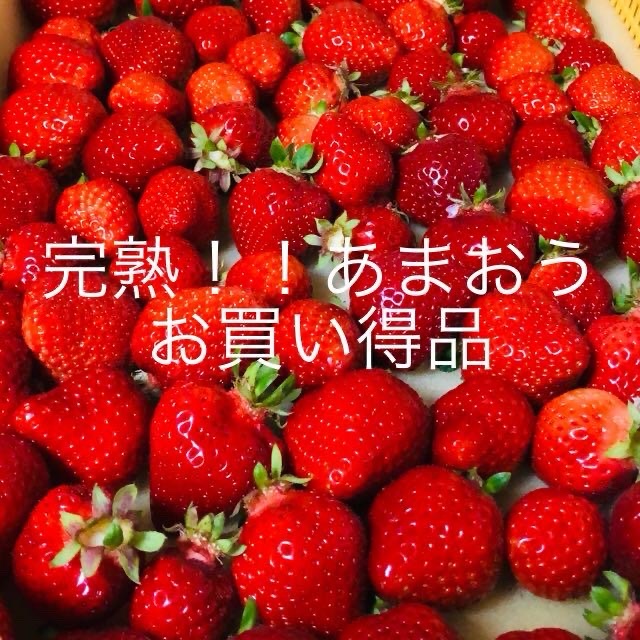 【送料込】福岡県エコ農産物認定 あまおう加工用2kg 福岡県エコ農産物認定あまおう加工用1kg｜訳あり完熟いちご｜ジャム