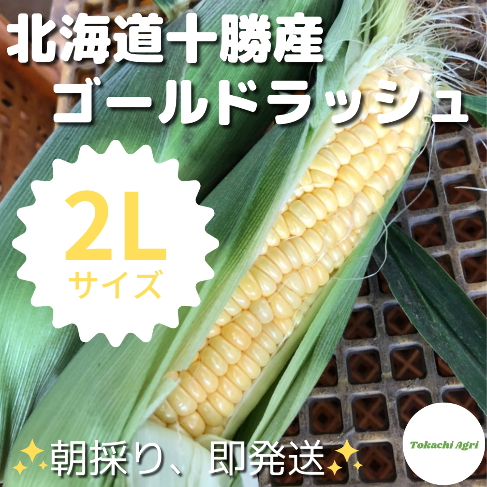 ✨朝採り、即発送✨ 北海道十勝産とうもろこし🌽スイートコーン