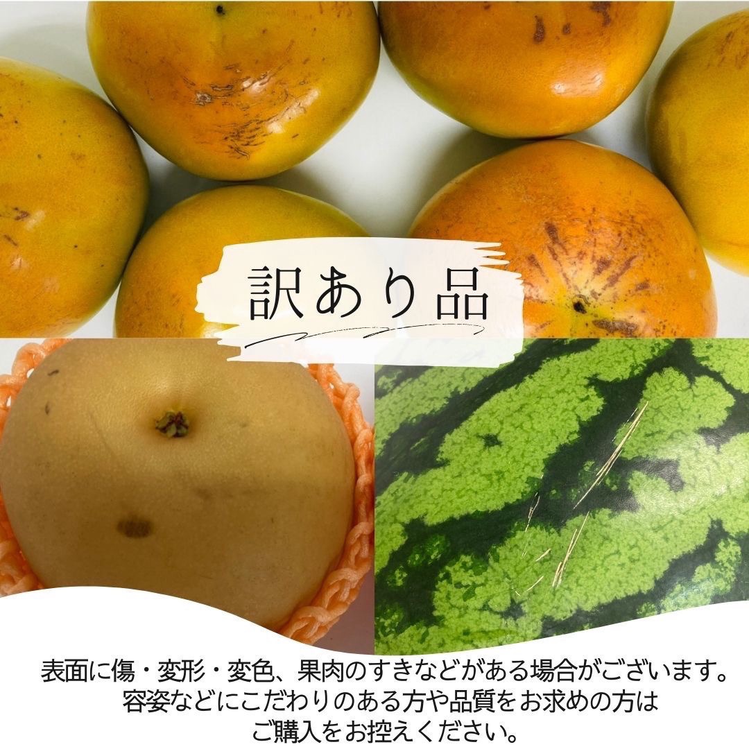 選果落ち 訳あり品 熊本県産 ジューシーオレンジ みかん 約8kg 【002