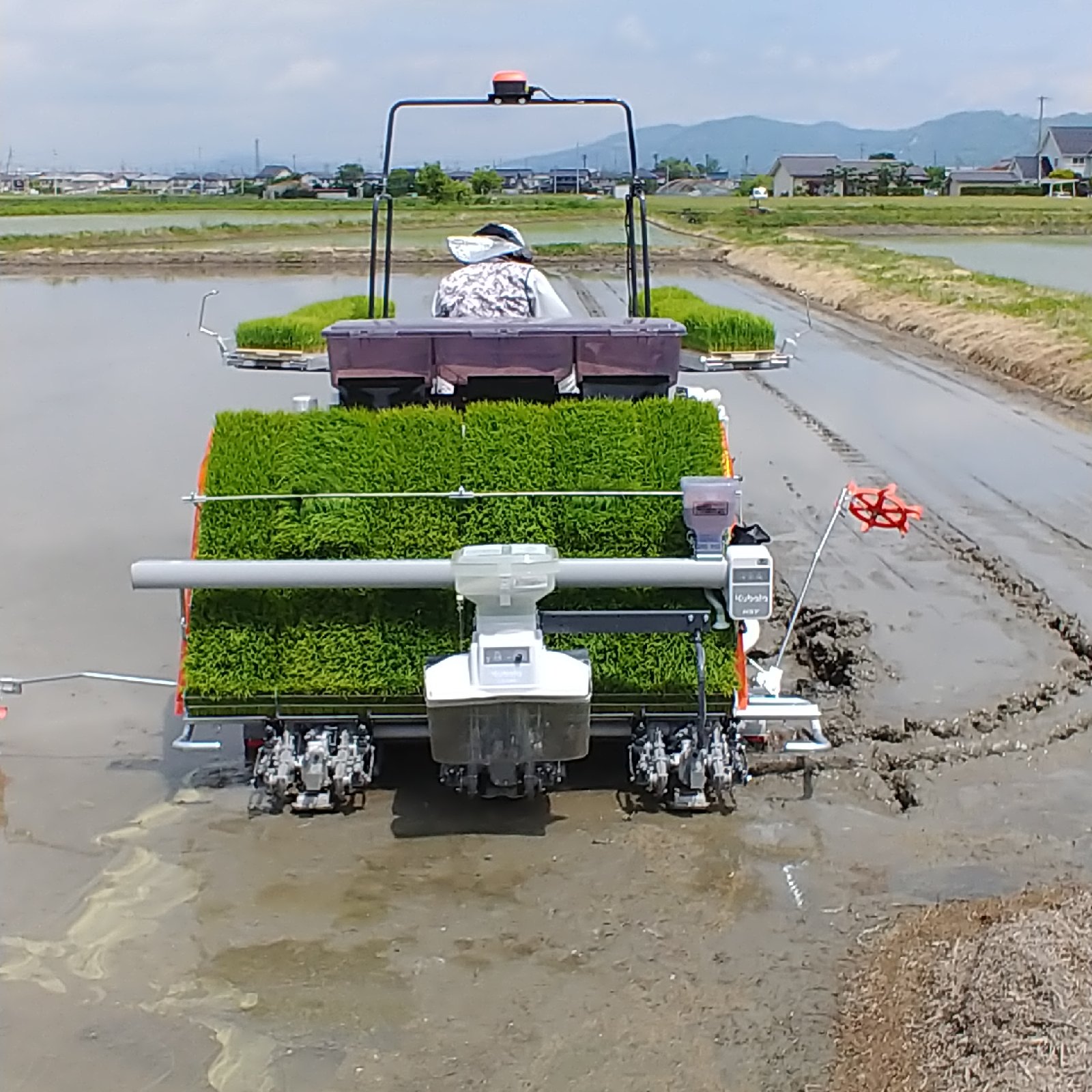 農家の自慢のお米🍚令和6年度産 「風さやか」 ｜ 米・穀物/米/精米