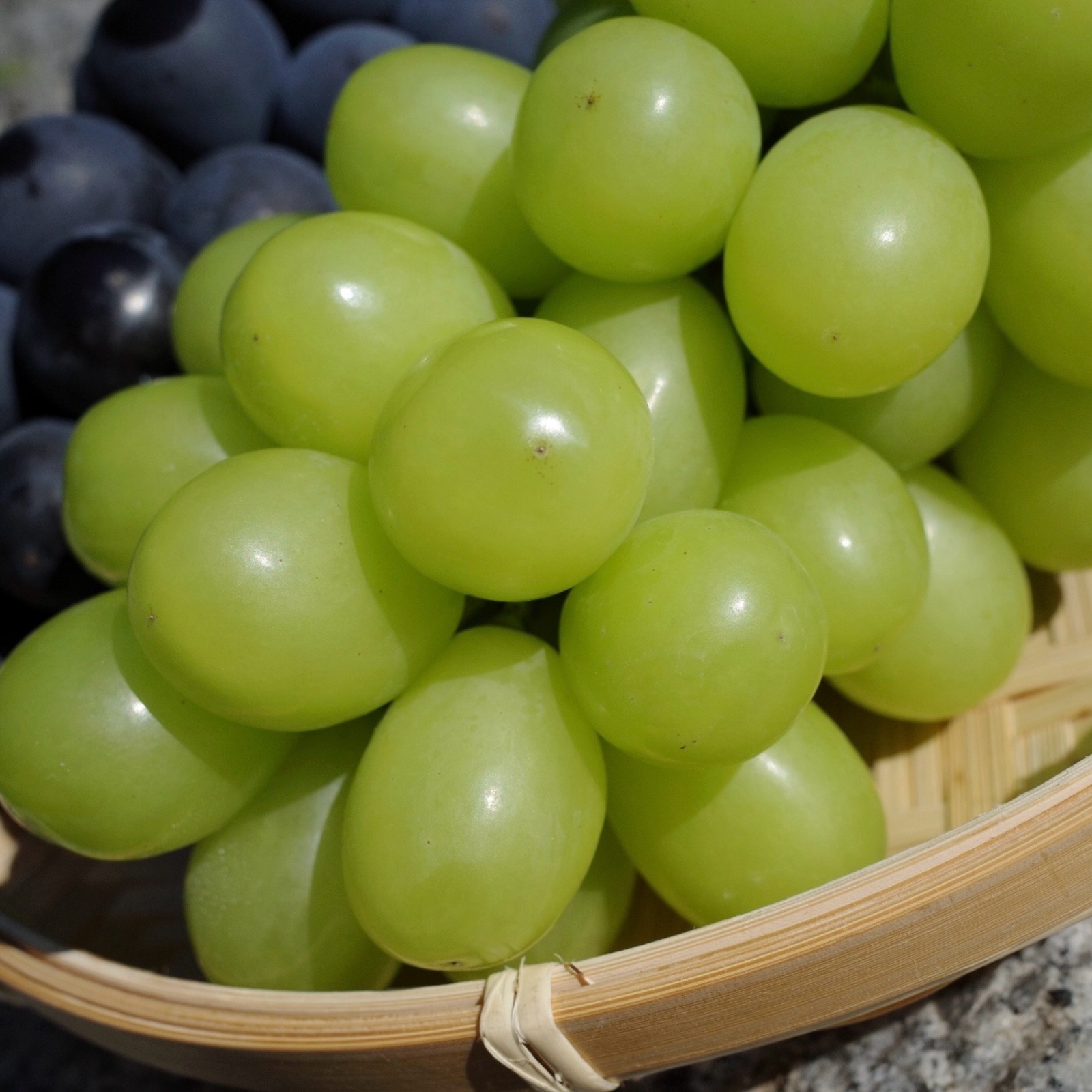 ハリ艶‼︎シャインマスカット【長野産】【クール便】 | 果物/ぶどう