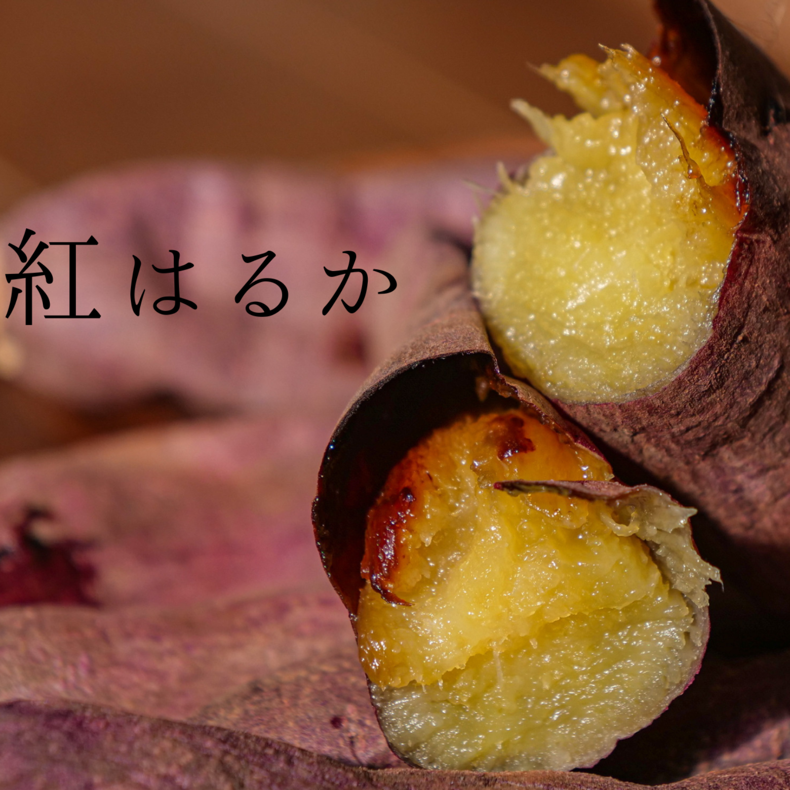 SALE／90%OFF】 千葉県産紅はるかL 約5㎏ 1 kinderbetten.de