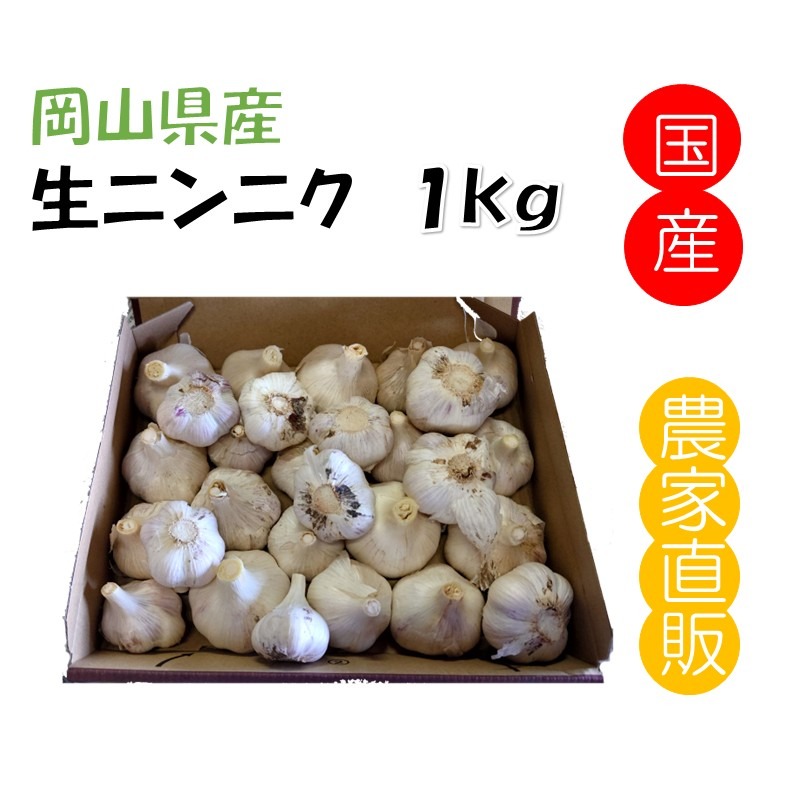 春しか食べれない！岡山県産『生ニンニク』1kg ｜ 野菜/にんにく 産直