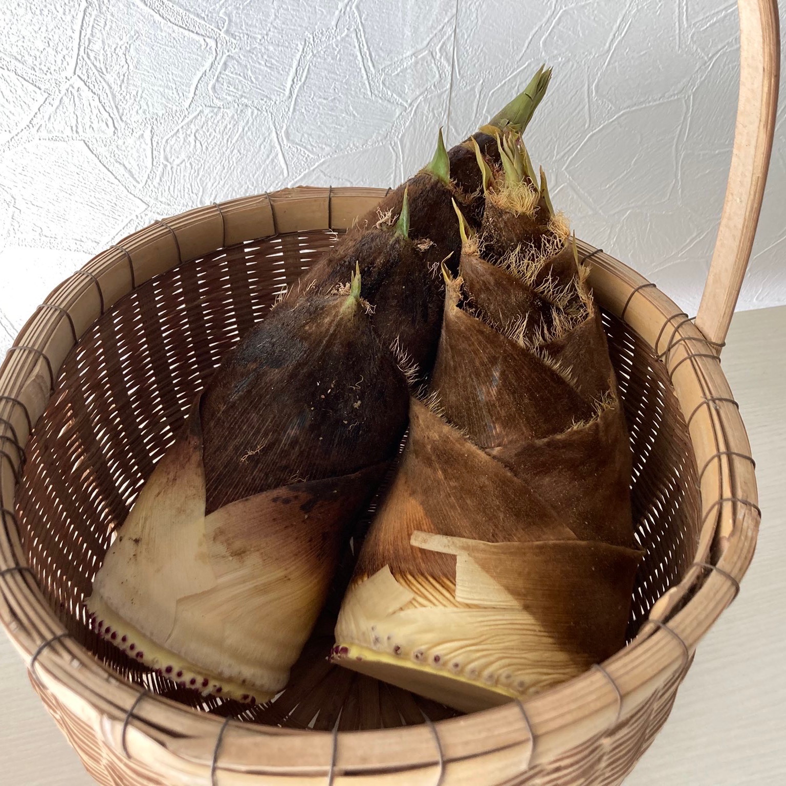 米ぬか不要】自然栽培たけのこ2kg ｜ 野菜/たけのこ 産直アウル 農家