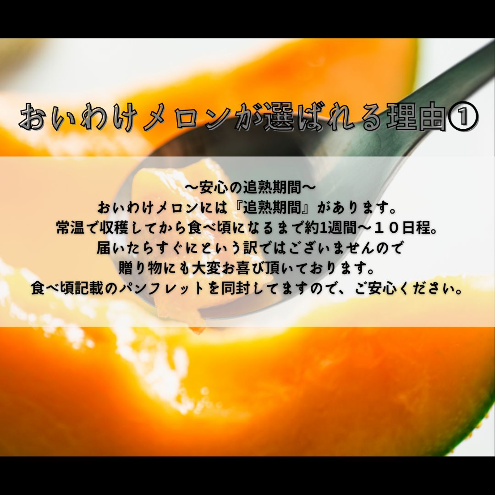 ギフト専門農家から【北海道メロン】 大箱 8キロ ｜ 果物/メロン 産直