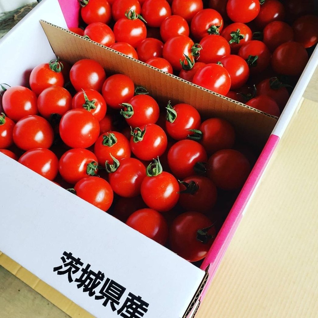 山七農園のミニトマト ｜ 野菜/トマト 産直アウル 農家・漁師など生産