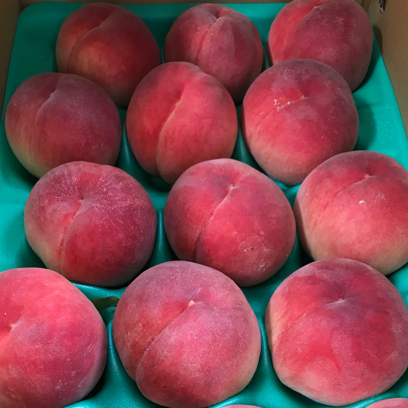 山梨の完熟桃 約5kg 秀品 ｜ 果物/もも 産直アウル 農家・漁師など生産 
